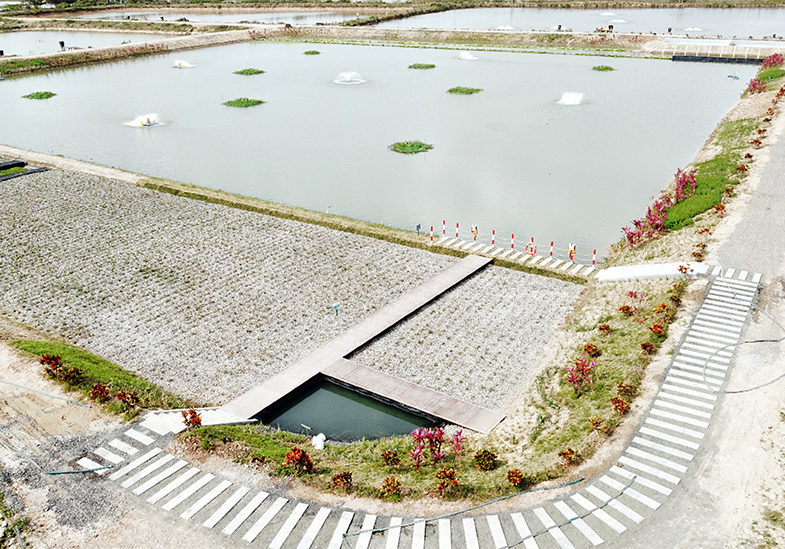 海南文昌水產(chǎn)養(yǎng)殖場尾水治理工程